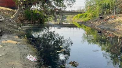 Sano Paila calls for a collective action to restore Sirsia